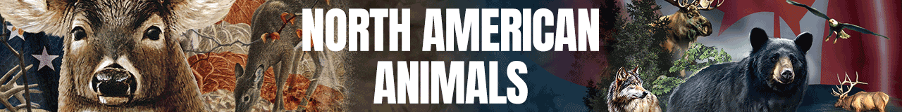 $10 OFF North American Animals 80+ styles