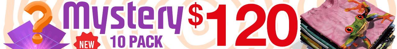 Mystery 10 Pack T-Shirts by The Mountain Holiday Christmas Gift Present