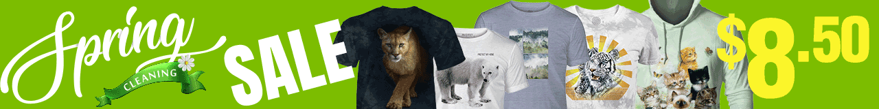 Clearance Sale $8.50