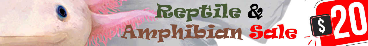 $20 Tees Reptile & Amphibian Sale