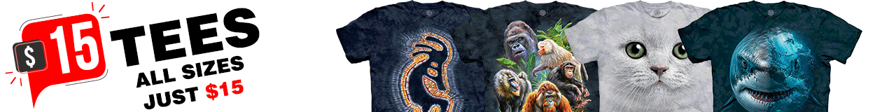 $15 Specials All Sizes Just 15 Bucks!