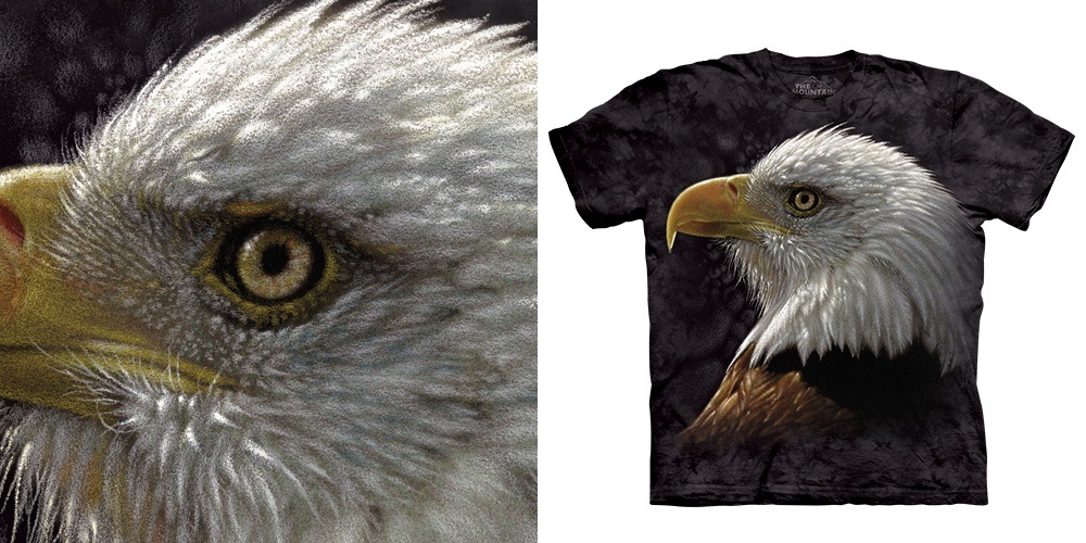 Bald Eagle Portrait T-Shirt by Collin Bogle