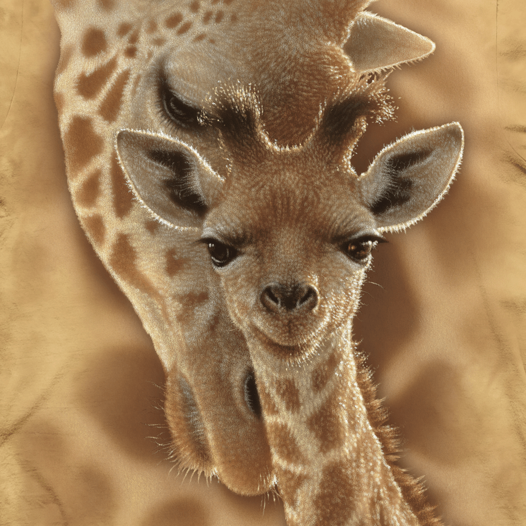 Newborn Giraffe T-shirt by Collin Bogle