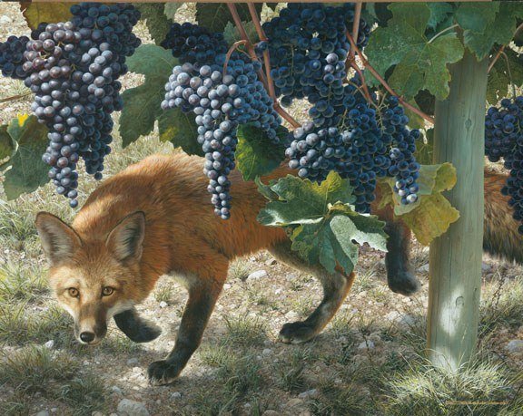 Between The Vines Red Fox Artwork by Carl Brenders